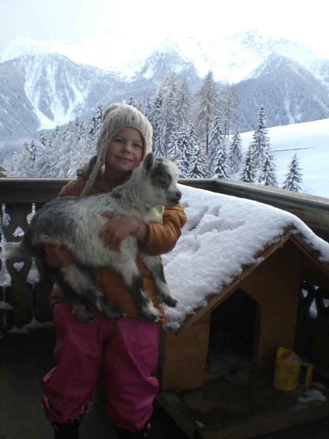 Chalet Niederhaushof Ultimo Exterior foto